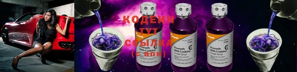 стаф Дмитриев