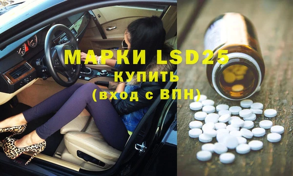стаф Дмитриев