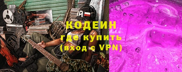 стаф Дмитриев