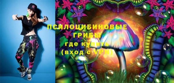 стаф Дмитриев