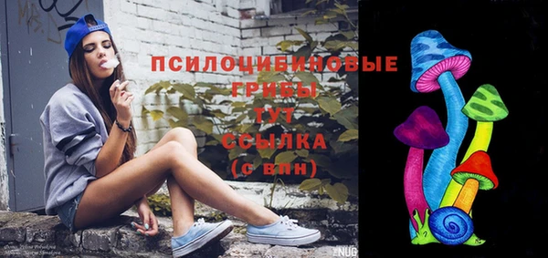 стаф Дмитриев