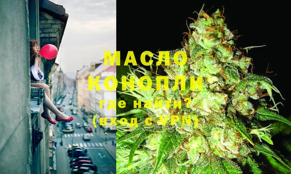 стаф Дмитриев