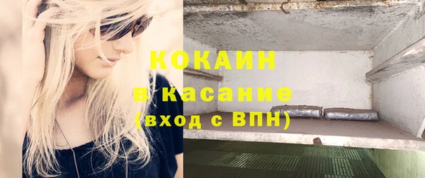 стаф Дмитриев