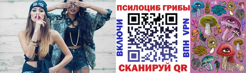 Купить закладки  Качканар  Псилоцибиновые грибы ЛСД 